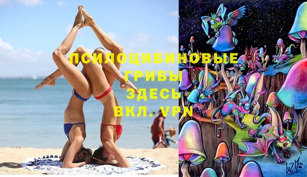 прущая мука Алзамай