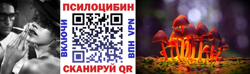 Галлюциногенные грибы мицелий  Элиста 